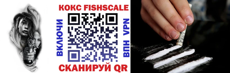 COCAIN Fish Scale  Купить  Бабаево 