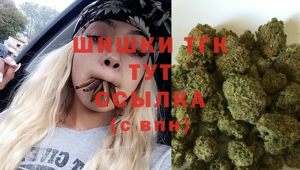 a pvp Каменка